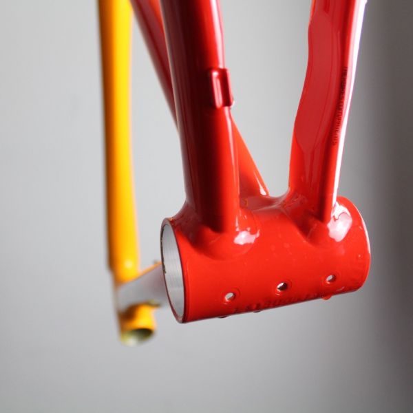 Trek Emonda ALR 2021-23 | Frame Protection Kit